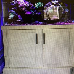 75 Gallon Fish Tank