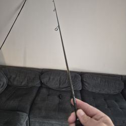Californian Rod 8ft