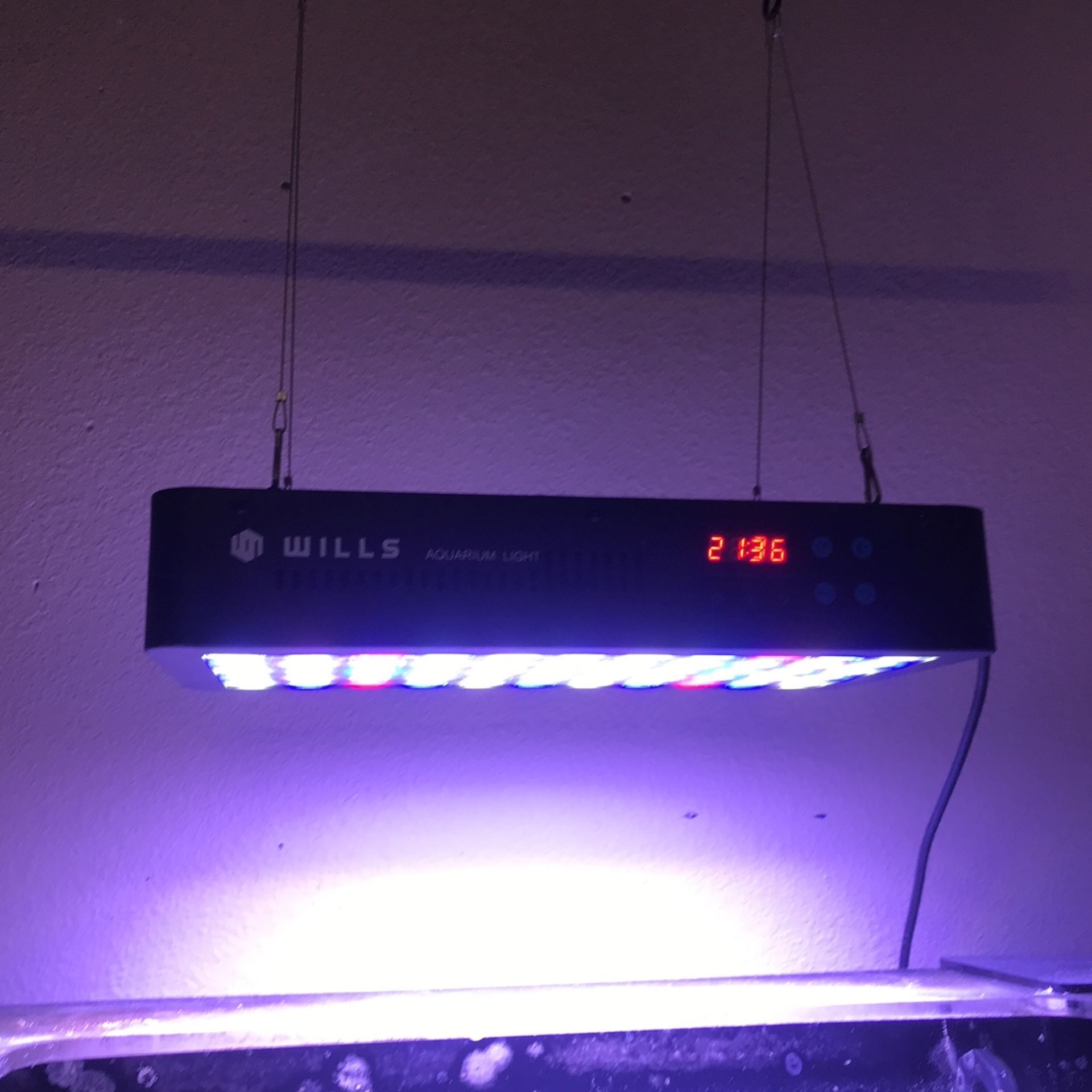Wills Saltwater Aquarium Light 