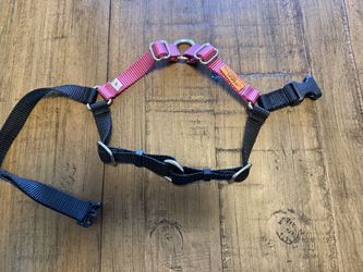 Wonder Walker Dog Harness - Small/Rose Pink