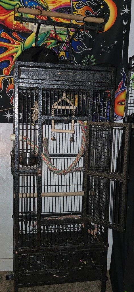 Bird Cage And Accessories