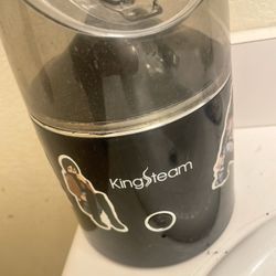 Facial Steamer 