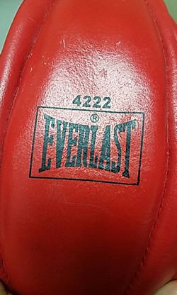 Everlast 4222 speed bag
