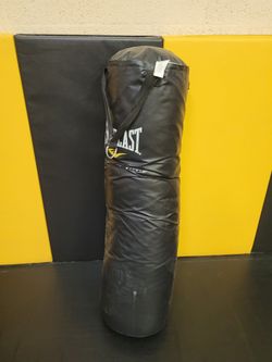 Everlast Punching Bag