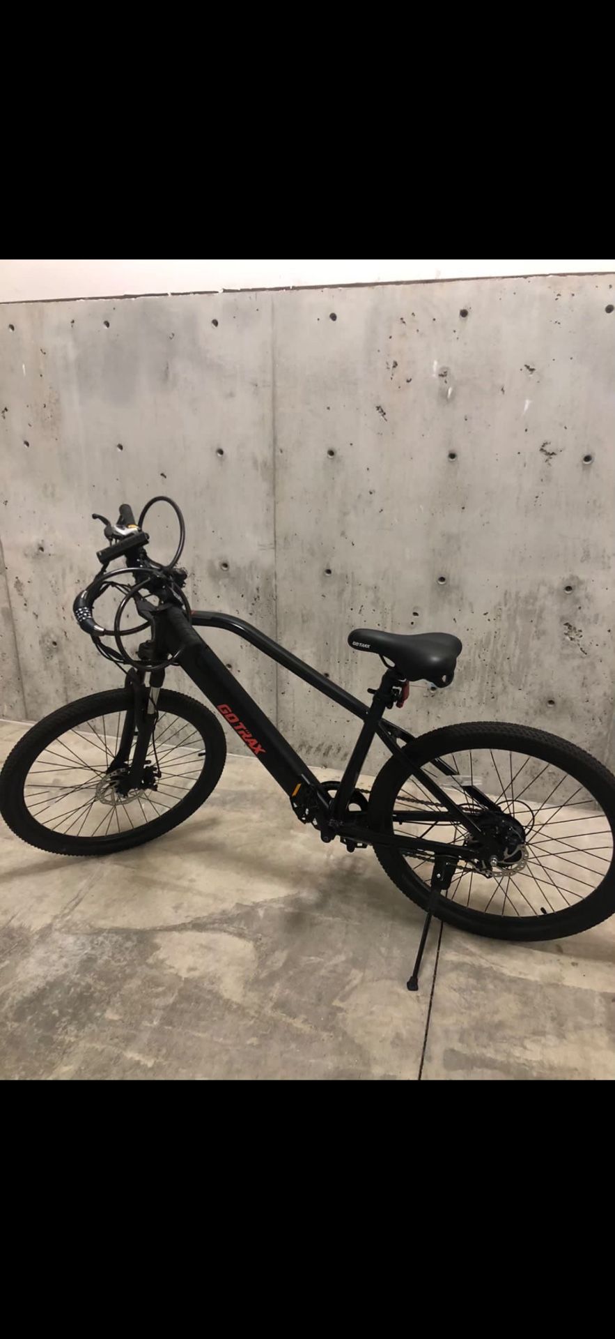 Electric Bike