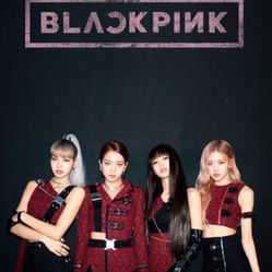 BLACKPINK TICKETS (2)