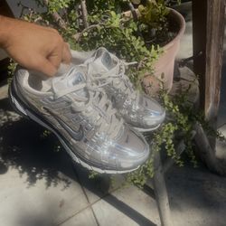 Nike P6000 Silver 