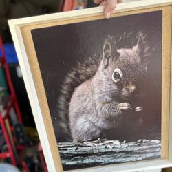 Vintage Squirrel Wall Art / Painting 