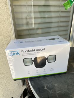 Blink camara flood light mount