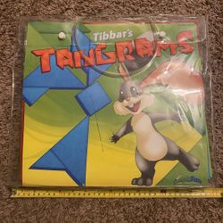 Huge Size Tangrams Math Game 