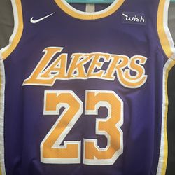 Lebron James Lakers Jerseys 6,23 Anthony Davis Jersey 3