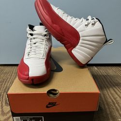 Air Jordan 12 Retro 