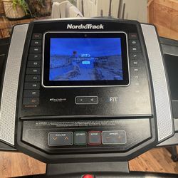 Nordic Treadmill 