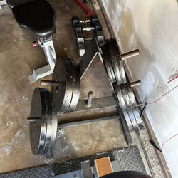 Weight Tree And Weights 