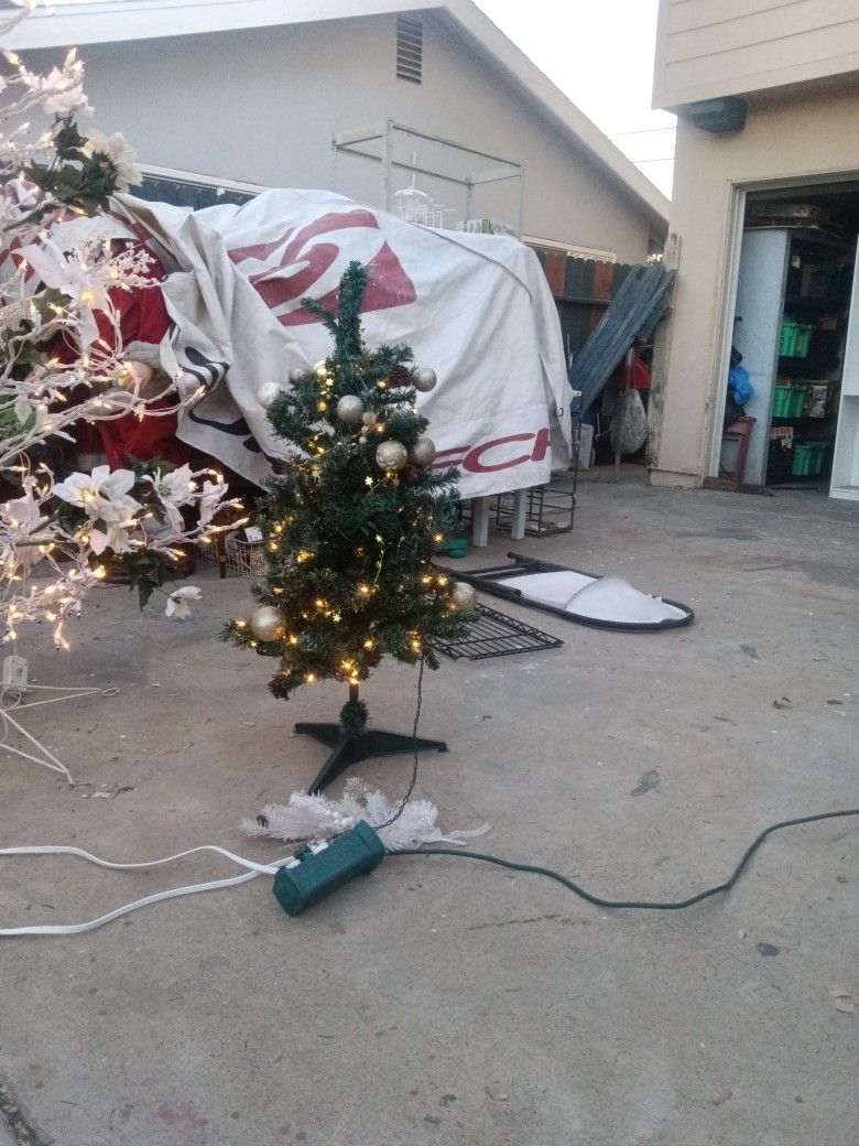 Christmas Trees With Lights