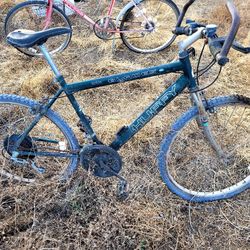Not Sure The Brand Of Bike. But We Have Multiple My Parents Are Trying To Sell