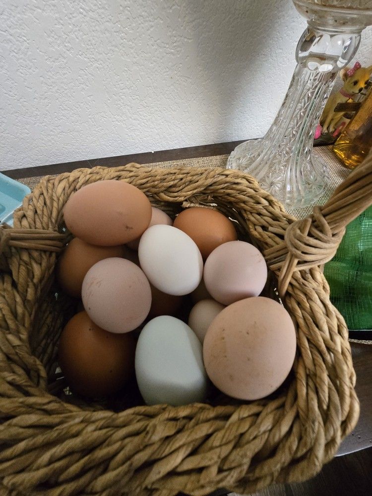 Fresh Farm EGGS