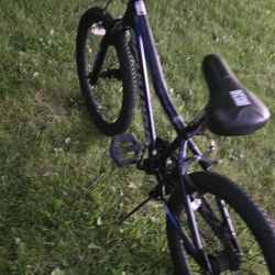 Schwinn Bike Size 20