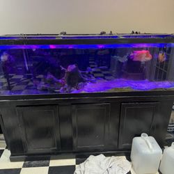 125 Gallon Fish Tank