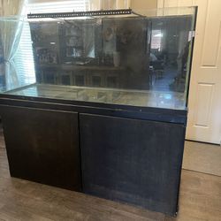 Used 230 Gallon Fish Tank and Stand