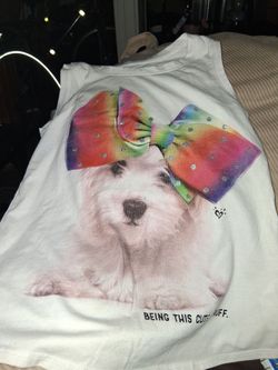 Disney  toddler so 4t t-shirt says Sister forever from movie frozen