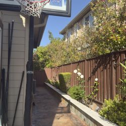 Basketball Hoop