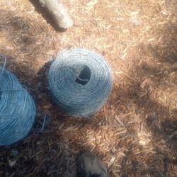 Barbed Wire 