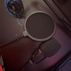 Gaming/ Beginner Mic