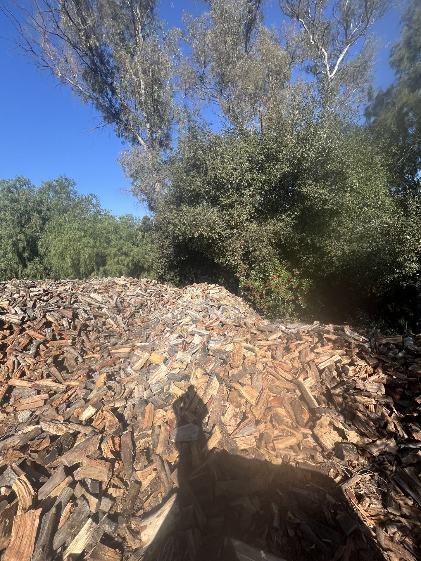 Firewood
