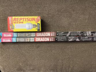 Lights For Bearded Dragon