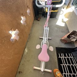 Sunny Health & Fitness Smart Row-N-Ride Glute & Leg