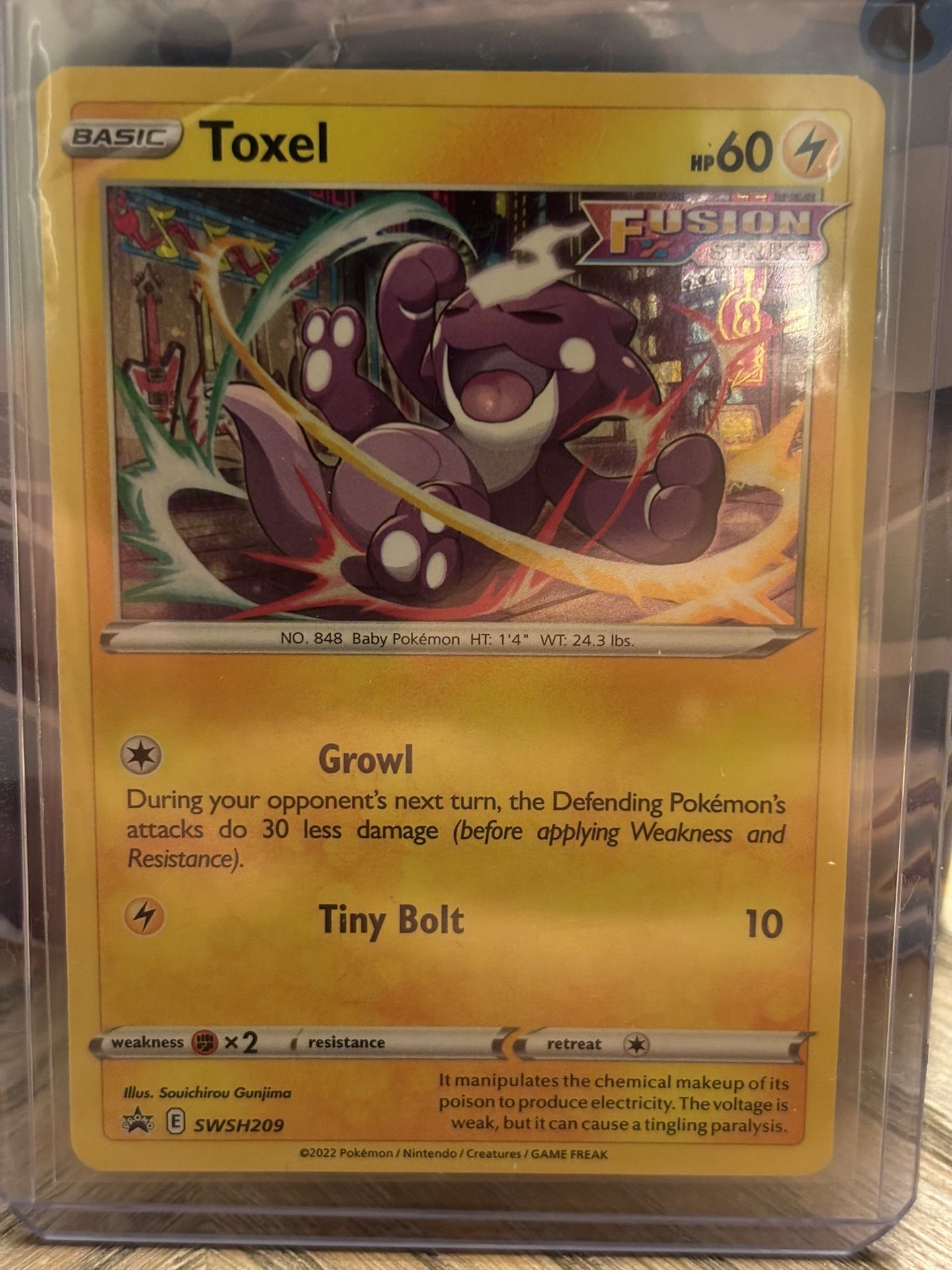 Toxel SWSH209 | Astral Radiance Holo Black Star Promo Pokémon TCG Card