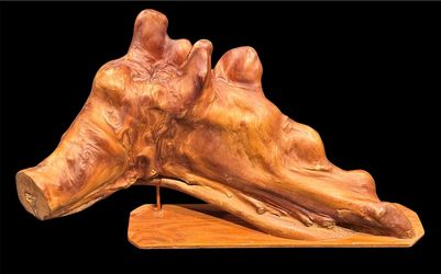 Natural Bald Florida Cypress Tree Knee Sculpture Decor. Unique natural wood sculpture. Has organic, abstract shape with intricate grain patterns and s