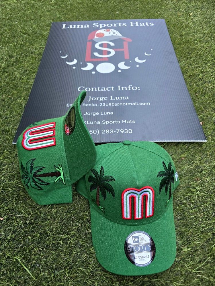 Mexico Wbc Palm Tree