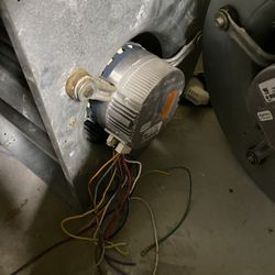 ECM Motors 