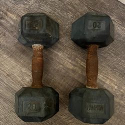 Two 20 Pound Dumbbells 