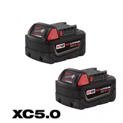 Milwaukee 5.0 2 Pack Batteries 