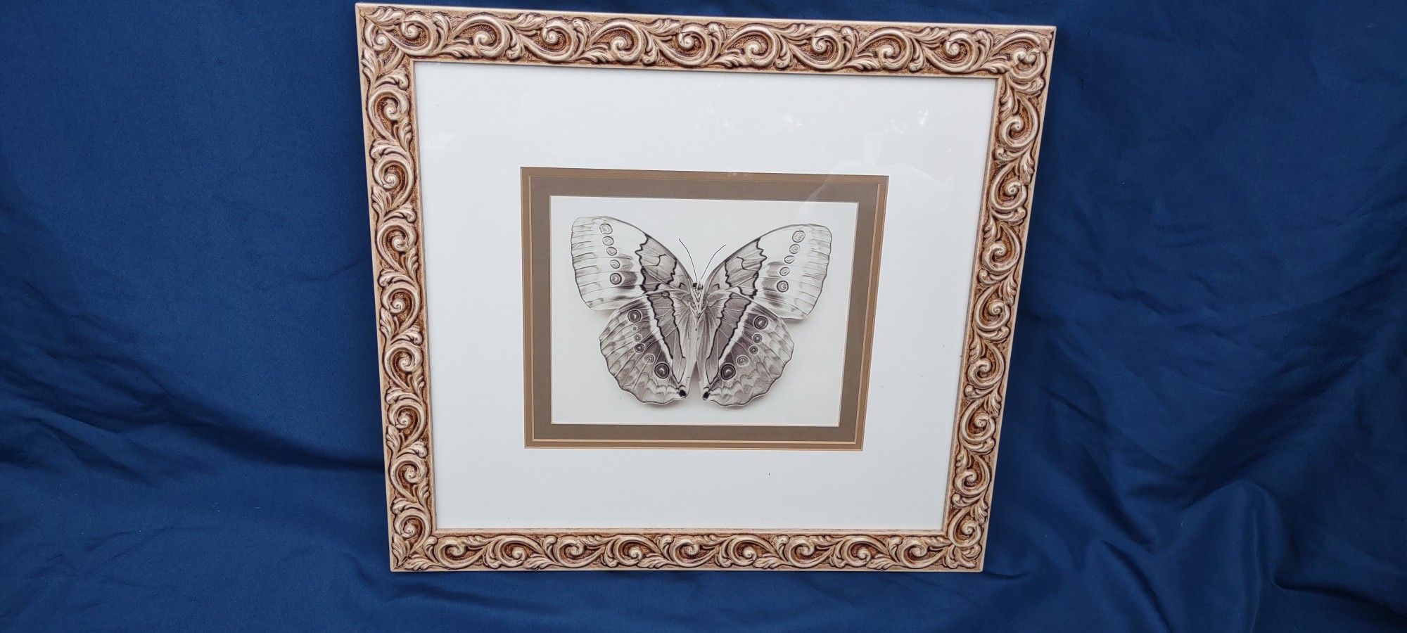 Butterfly Print