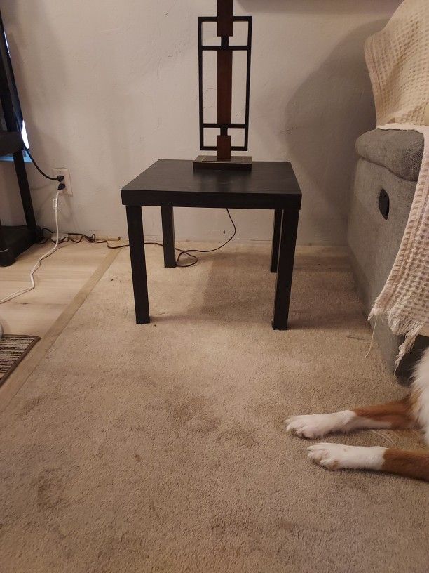 20x20. 18" H Black End Tables (2)
