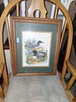 Duck framed picture