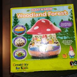 Woodland Forest, Plant And Grow Creativity For Kids