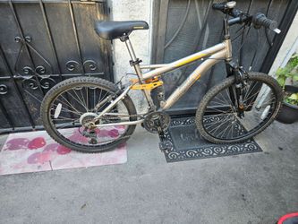 Bike the Mountain size 24"