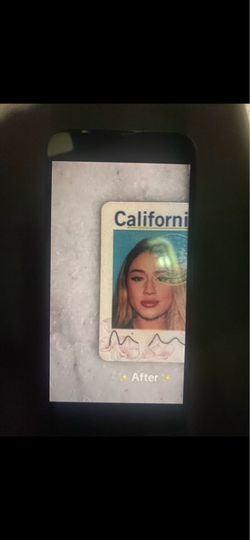 D. L. ?