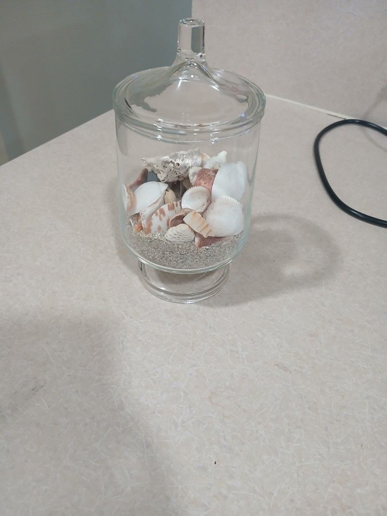 Small Glass Jar With Seashells 