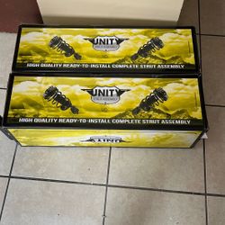 Unity Strut Assembly 