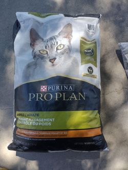 Cat food and sand