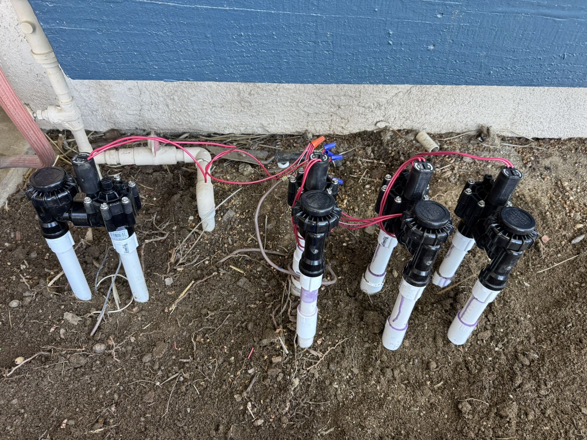 Irrigation System Valves Sod