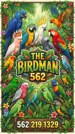 All type of birds