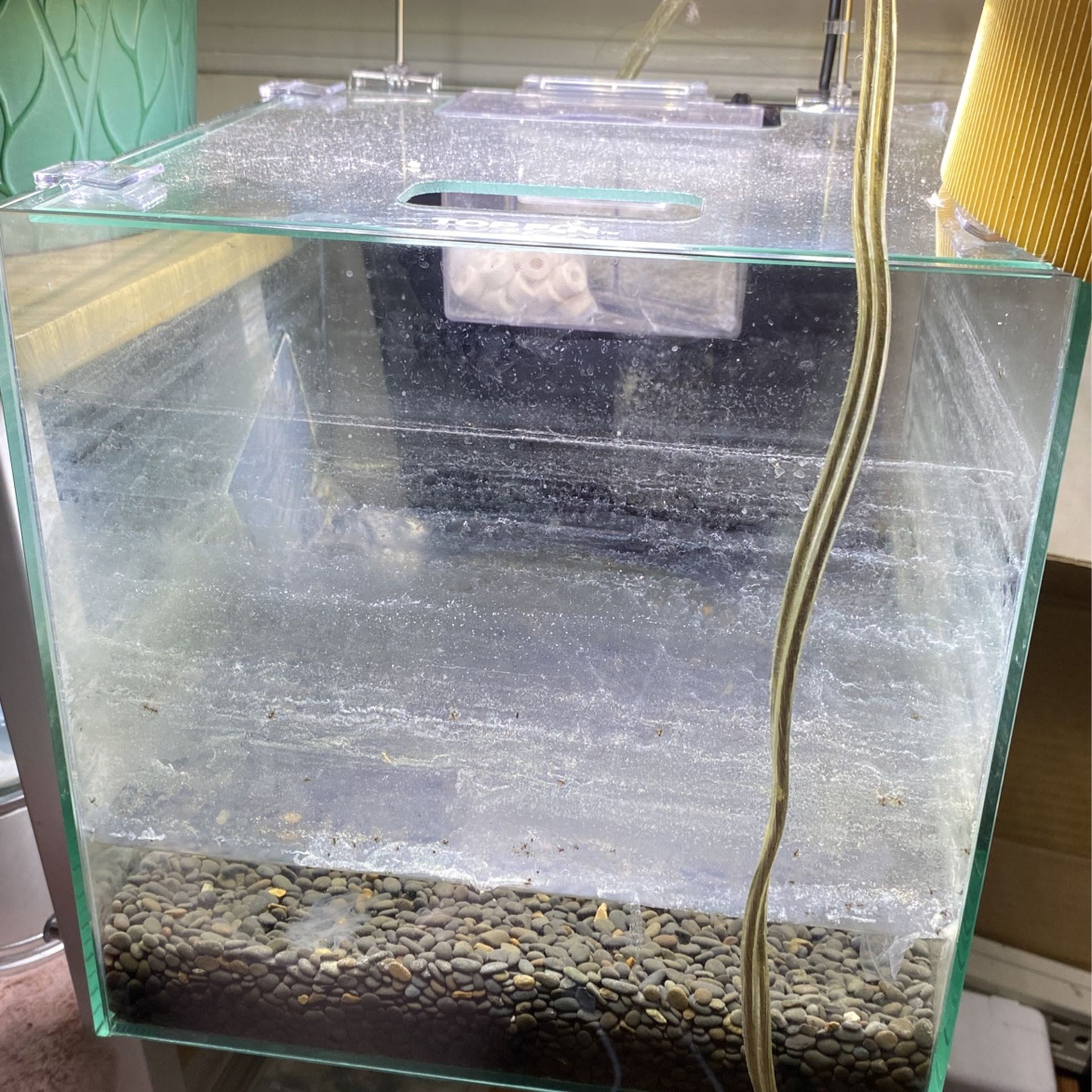 3 Gallon Shrimp/plant Tank