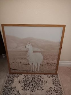 BEAUTIFUL NATURE'S CRIATION WITH WOOD FRAME AND CLASS ON THE FRONT 24"×24".EXELLEND CONDITION.